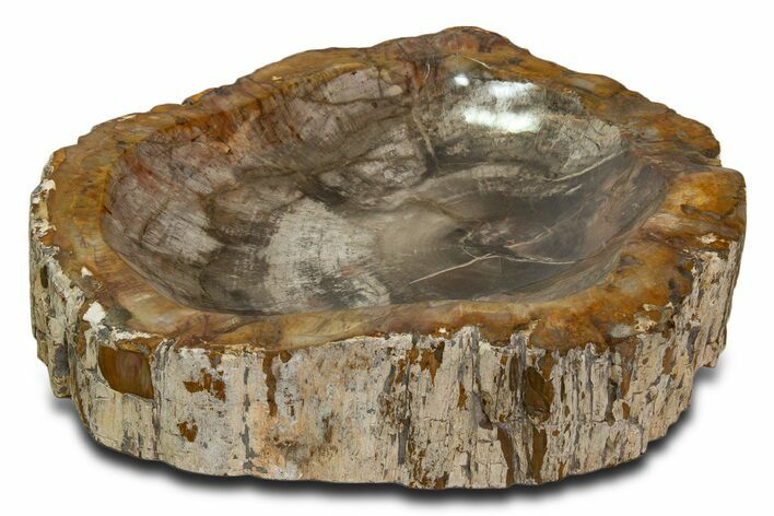 Polished Petrified Wood Bowl ( / lbs) - Madagascar #339300
